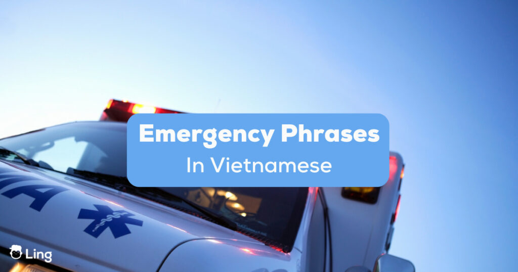 Emergency Phrases In Vietnamese
