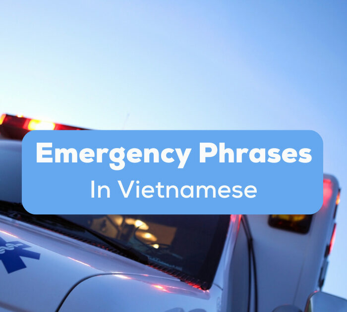 Emergency Phrases In Vietnamese