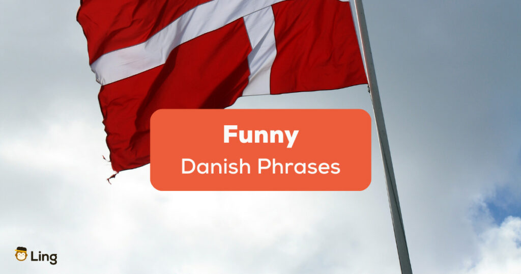 Funny Danish Phrases