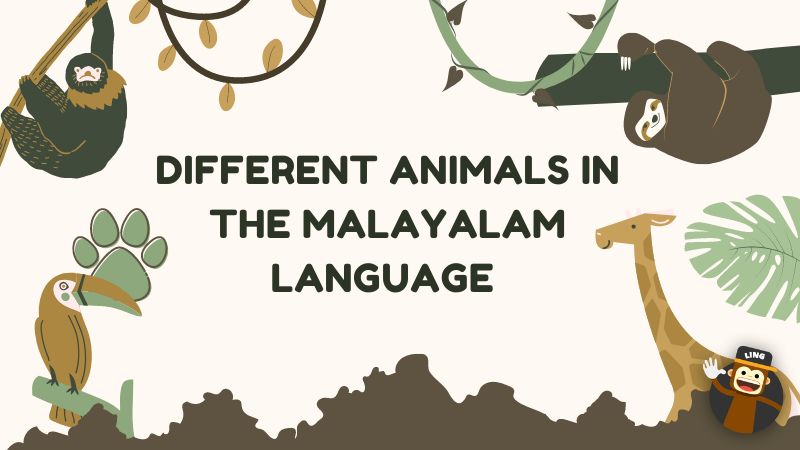 Different animals in Malayalam