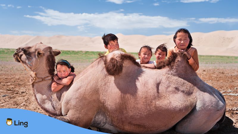 Mongolische Kinder und ein Kamel