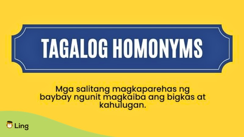 Tagalog homonyms - A photo of texts about homonyms in Tagalog