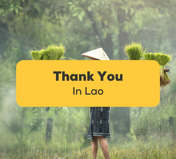 Thank You In Lao
