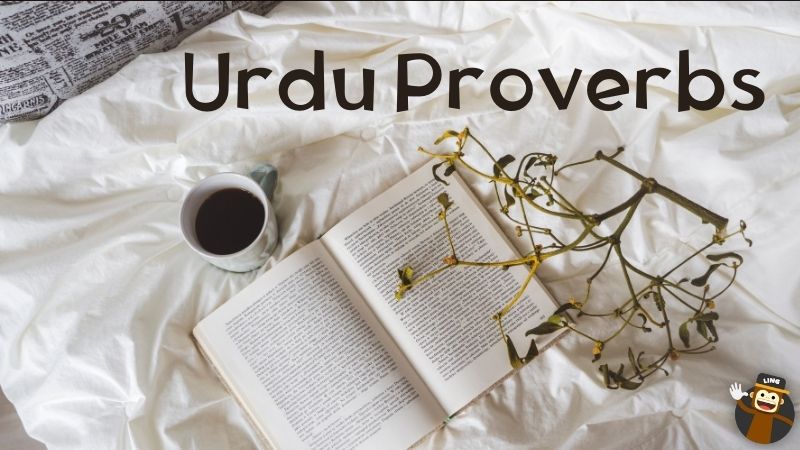 English Idioms and Phrases in Urdu, Apps
