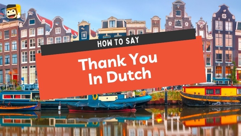 How To Say Thank You In Dutch: 17 + Ways - ling-app.com