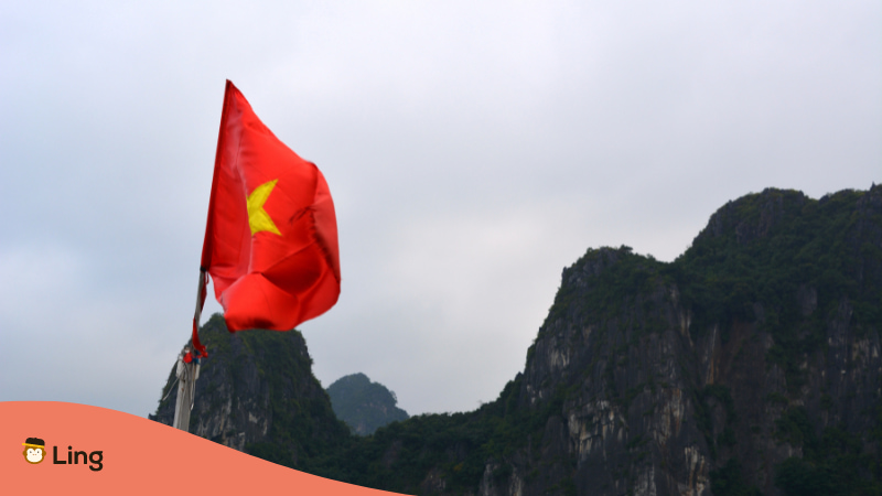 Amazing facts about Vietnamese flag