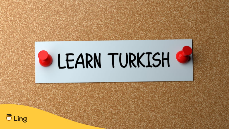Basic Turkish Words Introduction