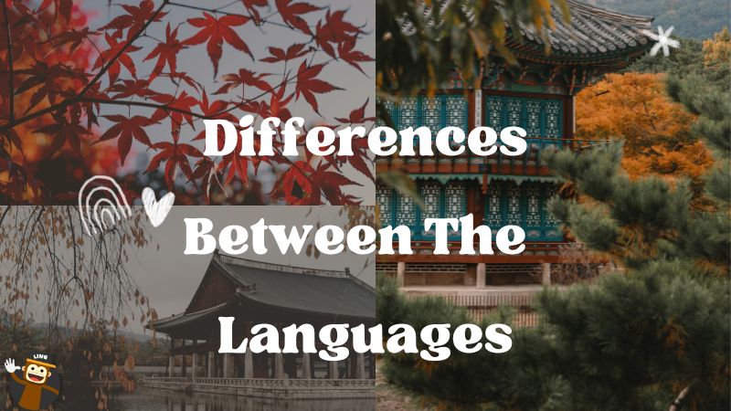 Chinese Vs Japanese Vs Korean Languages