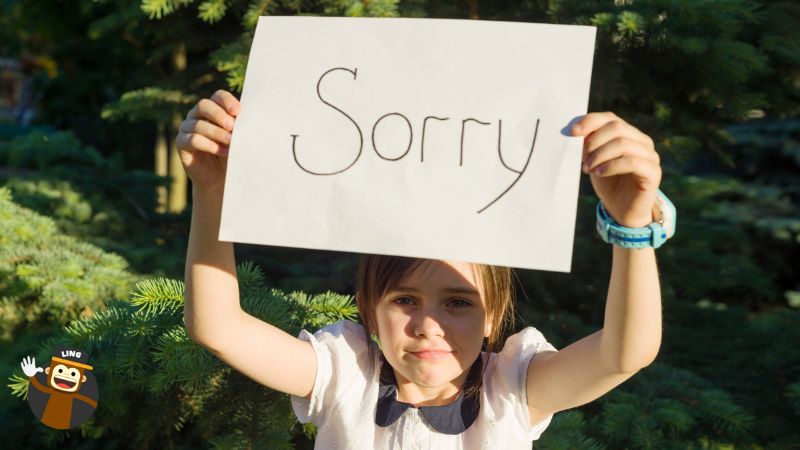Do people say sorry in dutch?