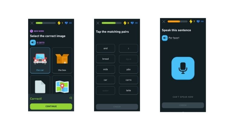 Duolingo Review Features