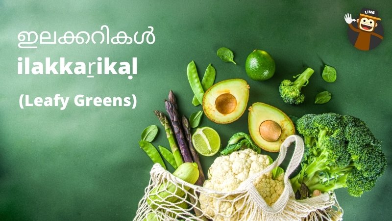 Food ingredients in Malayalam - vegetables