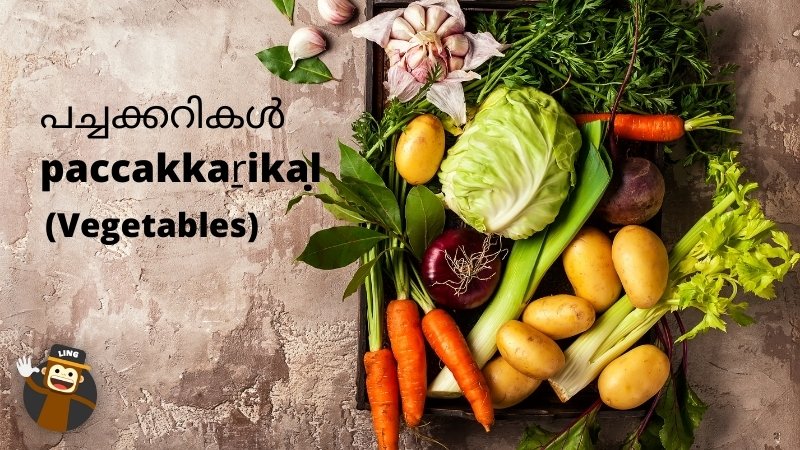 Food ingredients in Malayalam - salad