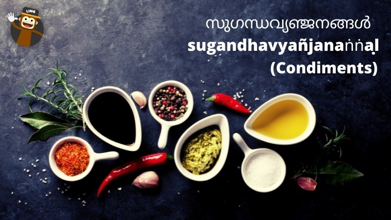 Food ingredients in Malayalam