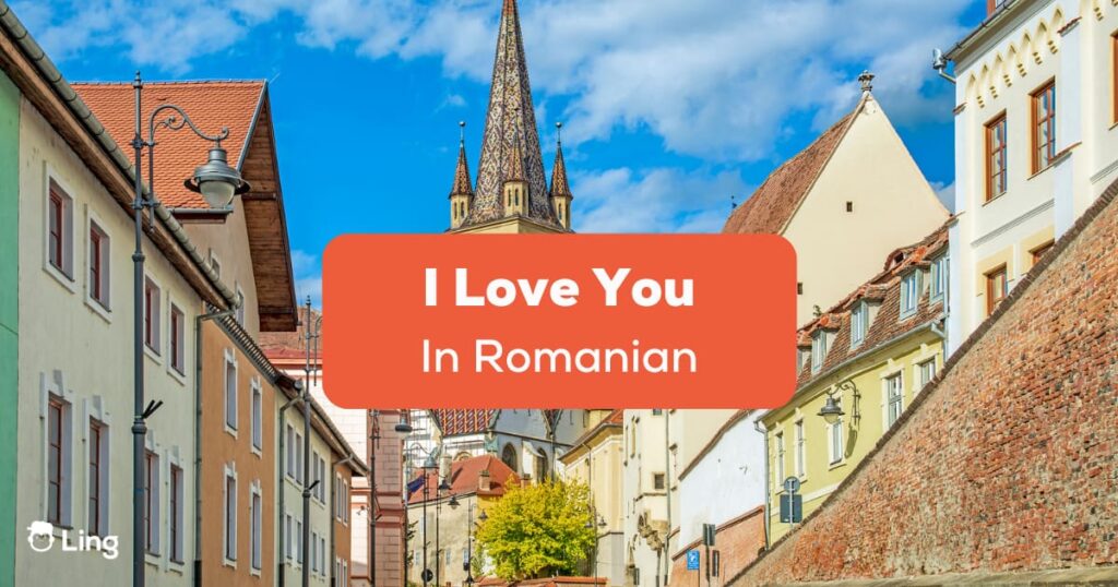 I Love You In Romanian