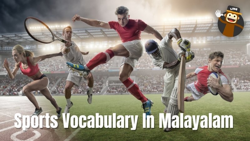 Malayalam sports vocabulary