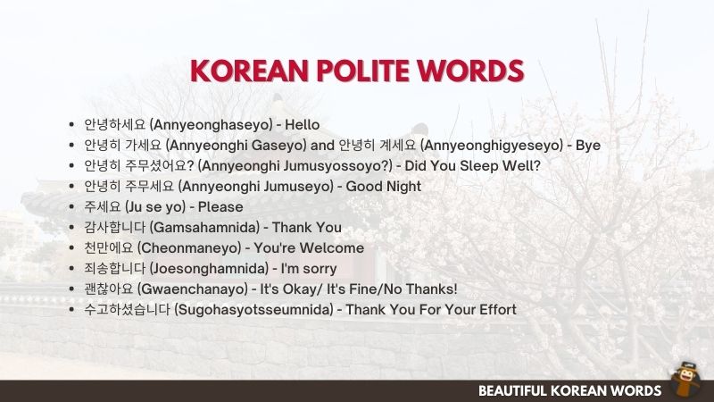 korean phrases and common sentences