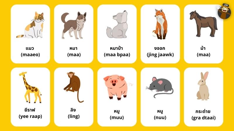 Animals in Thai