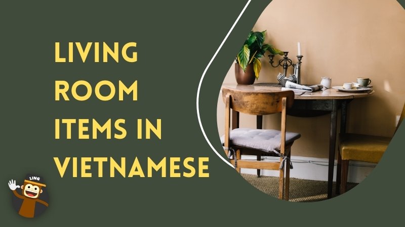 Learn Vietnamese words