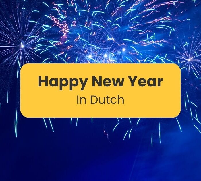 Happy New Year in Dutch - Fireworks