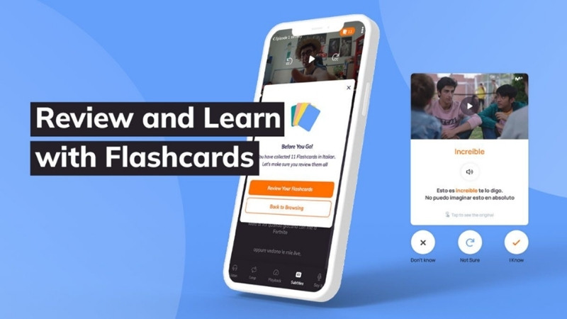 flashcards and reviews