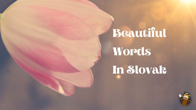 how to say beautiful in Slovak