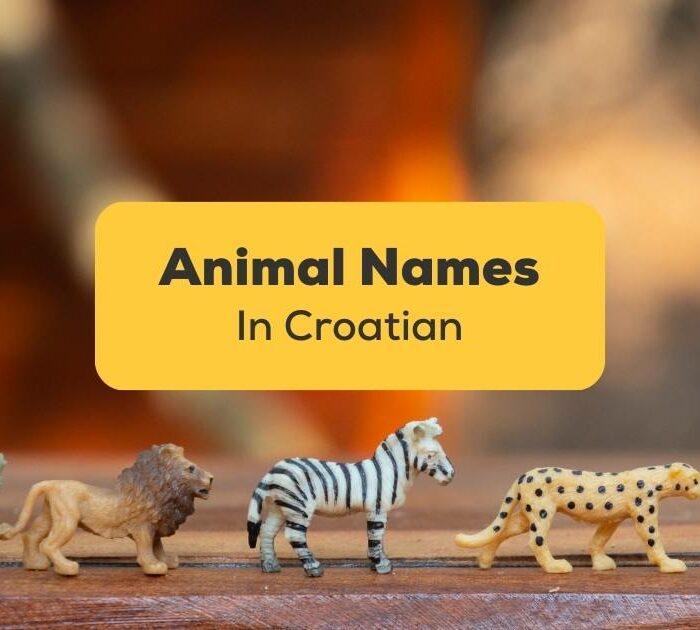 Children Animal Toys Animal Names in Croatian