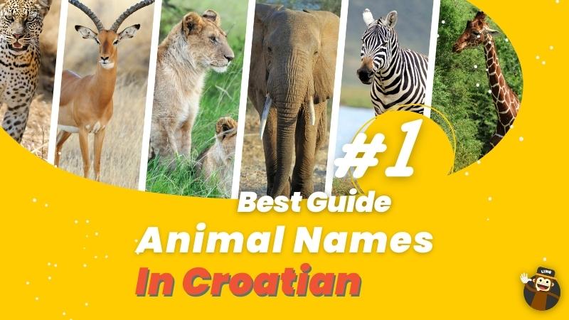 Your #1 Best Guide To Animal Names In Croatian! - Ling App