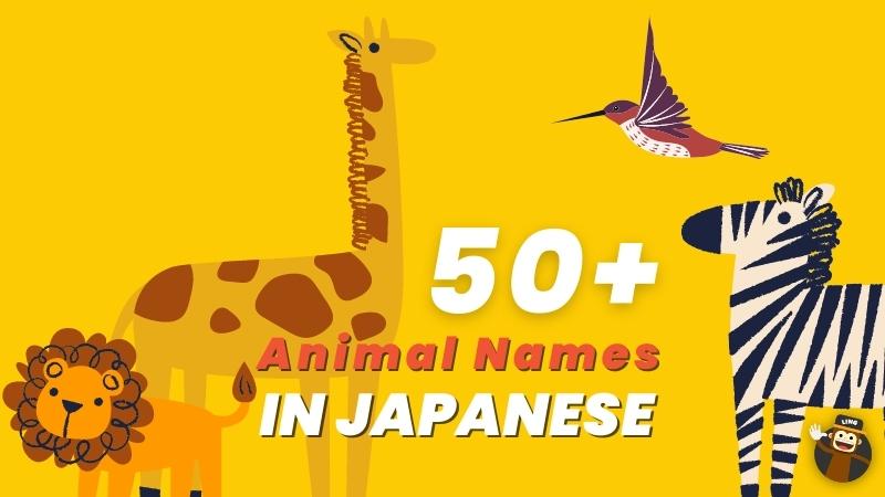 50+ Amazing Animal Names In Japanese To Learn Now! - Ling App