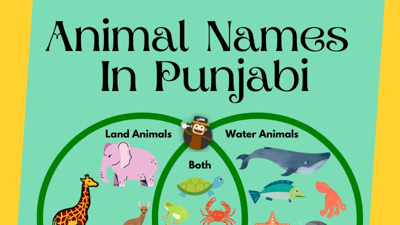 35+ Thrilling Animal Names In Punjabi - Ling App
