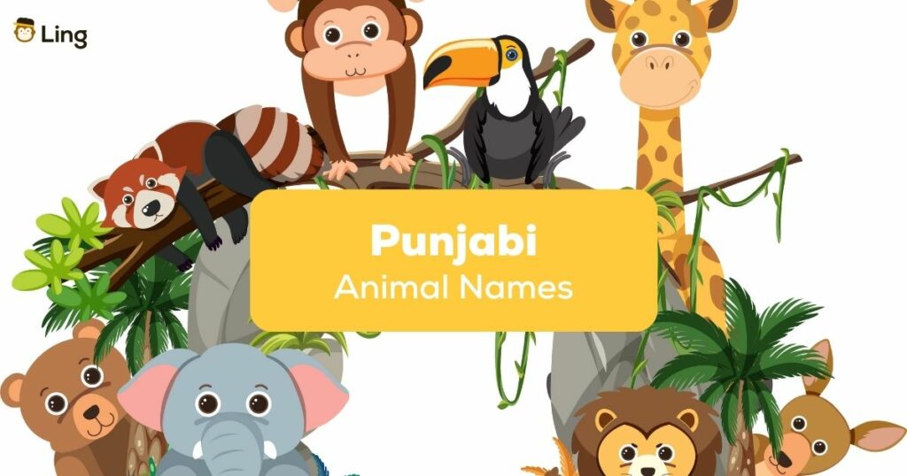 Animal names in Punjabi