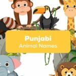Animal names in Punjabi