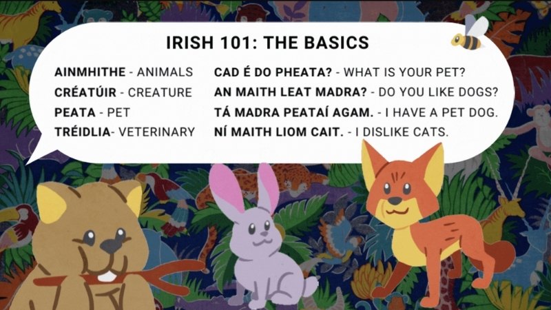 animals in ireland irish animals