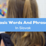 Basic Words And Phrases In Slovak