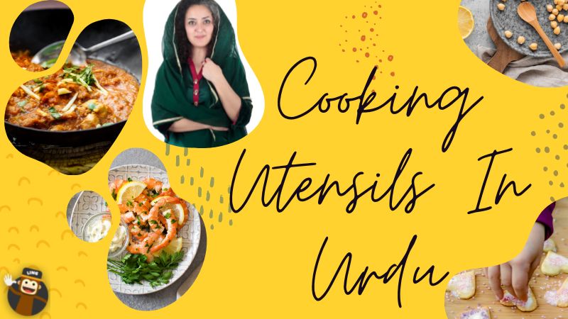 Cooking Utensils In Urdu