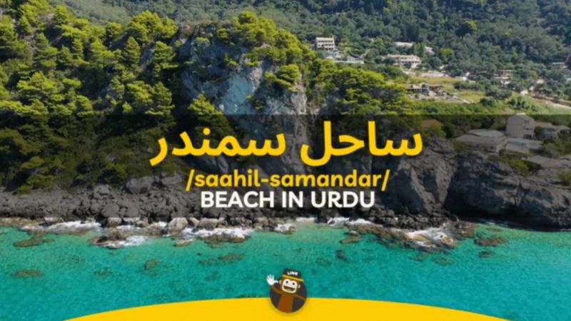 bay meaning in urdu