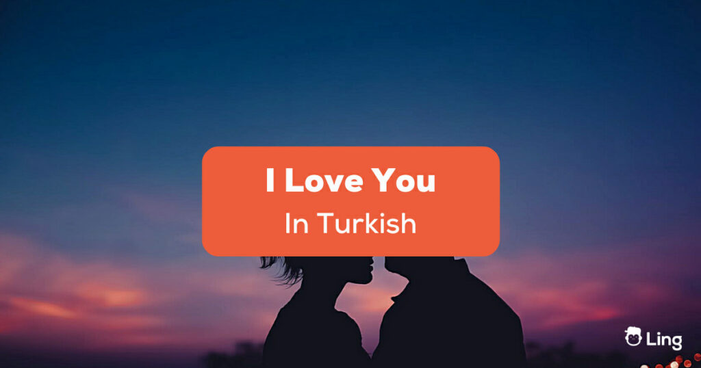 I Love You In Turkish