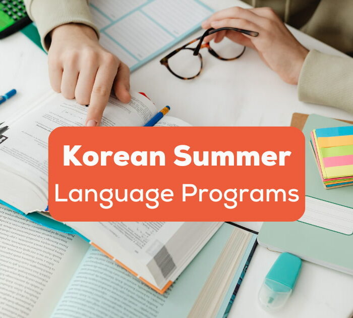 Korean Summer Language Programs