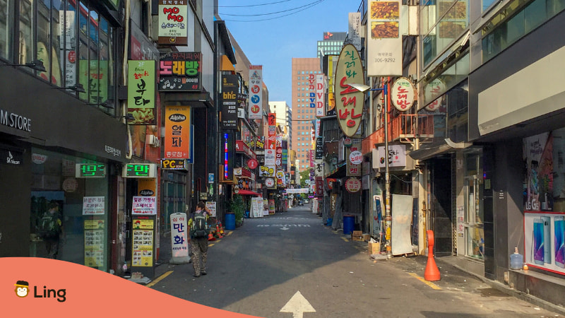 Korean Summer Language Programs Homestay Seoul