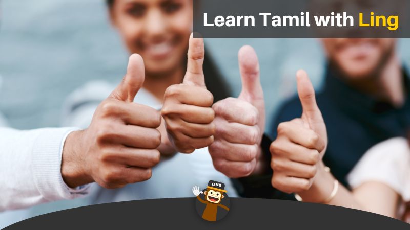 Learn Tamil With Ling