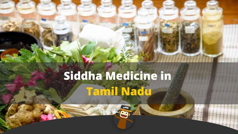 Siddha Medicine in Tamil Nadu