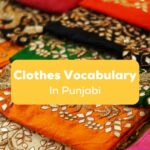 Punjabi Clothes