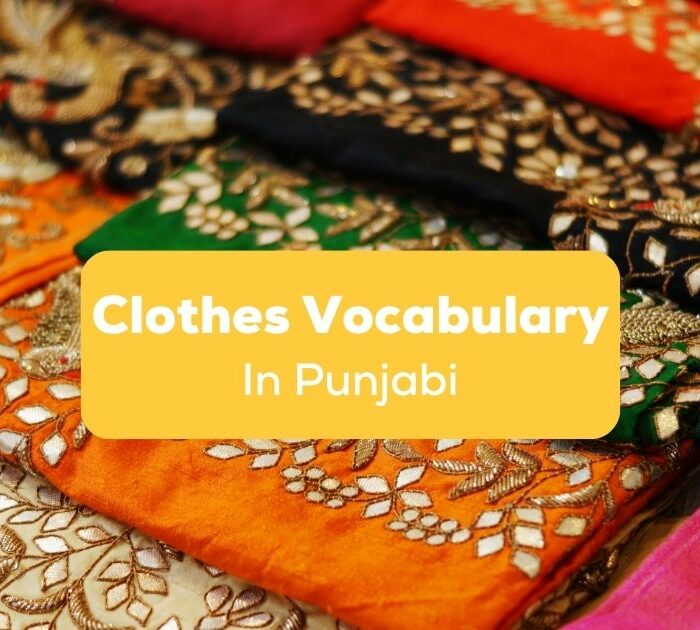 Punjabi Clothes