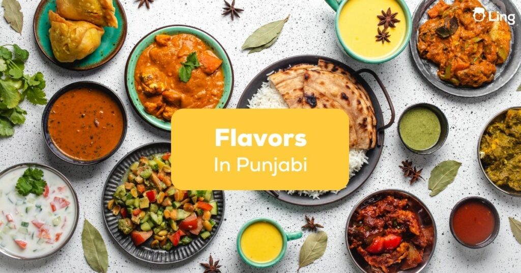 Punjabi Flavors