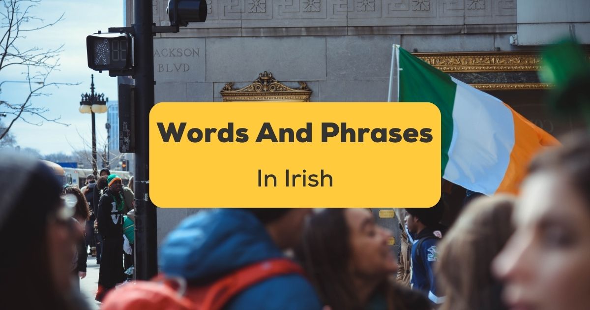 useful phrases in irish essays