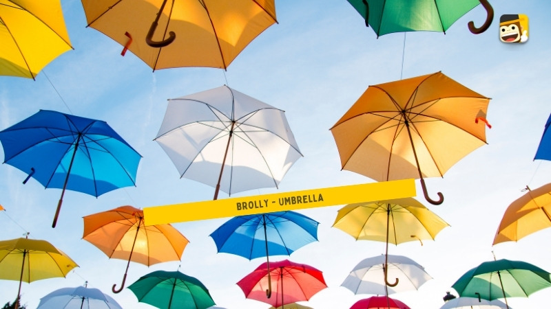 umbrella brolly in australian