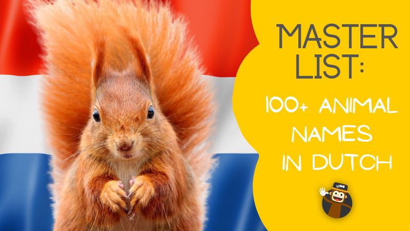 Master List Of 100+ Animal Names In Dutch - Ling App