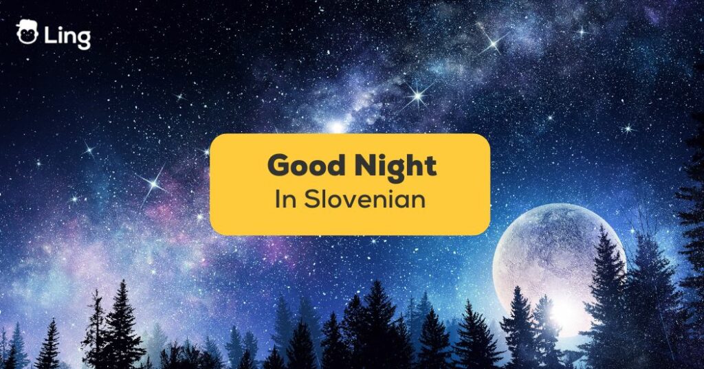 Good Night In Slovenian