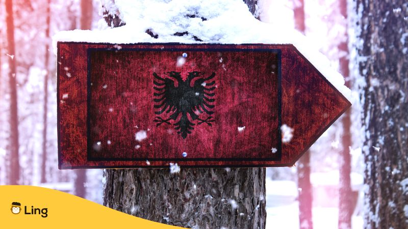 Wegweiser mit der albanischen Flagge im Schnee