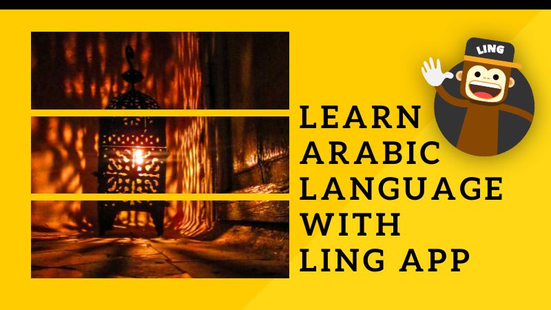 Basic Arabic Words