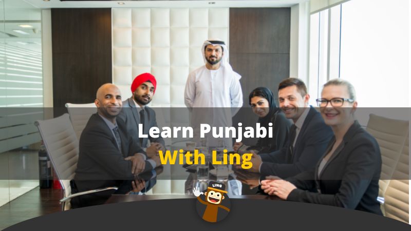 Funny Punjabi Jokes: 7+ Jokes Unlocked - Ling App